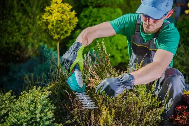 landscaping services West Winfield